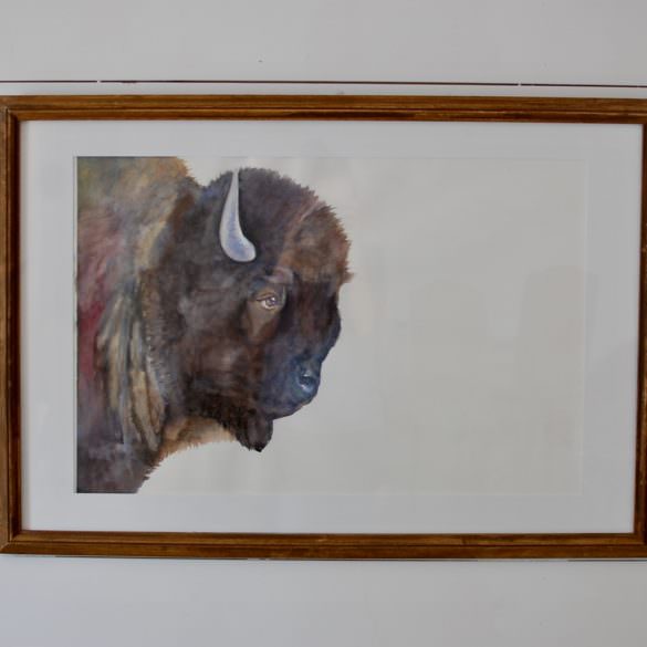 Bison Watercolor